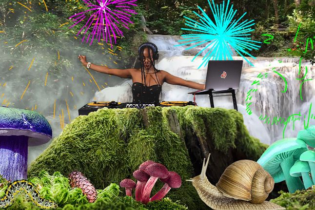 Enchanted Forest Scene DJ visuals for live streaming